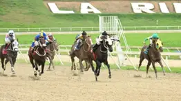 Julio César León sustituye a Antonio "Potro" Álvarez en el INH: Cambian a las autoridades del hipismo venezolano