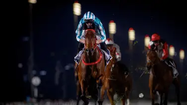 ¡En busca de la grandeza! ¿Romantic Warrior, podrá lograr un cuarto triunfo en la FWD Queen Elizabeth II Cup (G1)? ¡En busca de la grandeza! ¿Romantic Warrior, podrá lograr un cuarto triunfo en la FWD Queen Elizabeth II Cup (G1)?