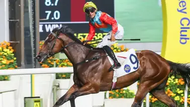 Camino a las 20 victorias consecutivas: Ka Ying Rising enfrenta a cinco rivales en el Chairman's Sprint Prize (G1) Camino a las 20 victorias consecutivas: Ka Ying Rising enfrenta a cinco rivales en el Chairman's Sprint Prize (G1)