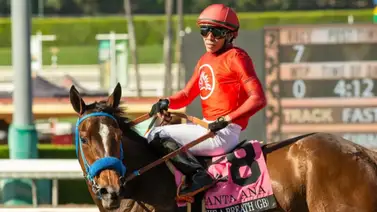 Emisael Jaramillo repite sobre Take a Breath (GB) para el Royal Heroine Stakes (G3) por 100 mil dólares Emisael Jaramillo repite sobre Take a Breath (GB) para el Royal Heroine Stakes (G3) por 100 mil dólares