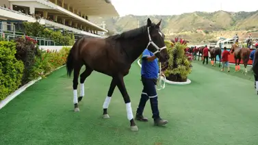 Atención: En la segunda válida para el 5y6 de La Rinconada se presenta un retiro Atención: En la segunda válida para el 5y6 de La Rinconada se presenta un retiro
