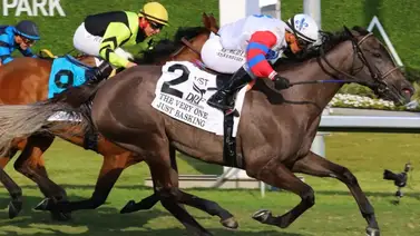 Javier Castellano con Just Basking llegan para el cierre de temporada en Keeneland en el Bewitch Stakes (G3T) de $350,000 Javier Castellano con Just Basking llegan para el cierre de temporada en Keeneland en el Bewitch Stakes (G3T) de $350,000