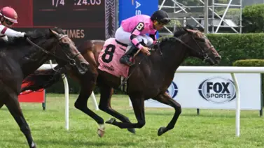 El duelo de la semana: Instability vs. Teddy's Rocket se enfrentan en el Woodhaven Stakes de $150,000 El duelo de la semana: Instability vs. Teddy's Rocket se enfrentan en el Woodhaven Stakes de $150,000
