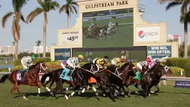 Gulfstream Park: Seis carreras para criados en Florida repartirán $600,000 este sábado Gulfstream Park: Seis carreras para criados en Florida repartirán $600,000 este sábado