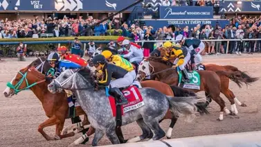 Pronósticos Gulfstream Park: picks gratis y el dato clave para el jueves 23 de abril Pronósticos Gulfstream Park: picks gratis y el dato clave para el jueves 23 de abril