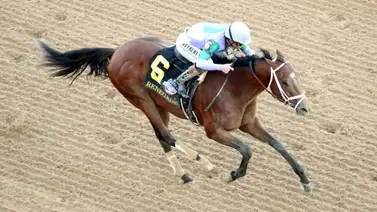 Renegade es el primer favorito para la jugada a futuro del Preakness Stakes (G1) Renegade es el primer favorito para la jugada a futuro del Preakness Stakes (G1)