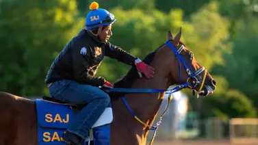 Los tres purasangres que más dinero han ganado en lo que va de 2026 Los tres purasangres que más dinero han ganado en lo que va de 2026