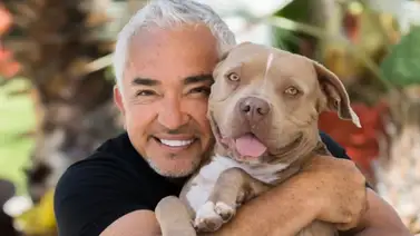 Abren casting para el show de César Millán en Caracas Abren casting para el show de César Millán en Caracas