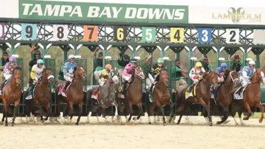 Victoria de líderes: Marín y Ávila suman juntos en Tampa Bay Downs Victoria de líderes: Marín y Ávila suman juntos en Tampa Bay Downs