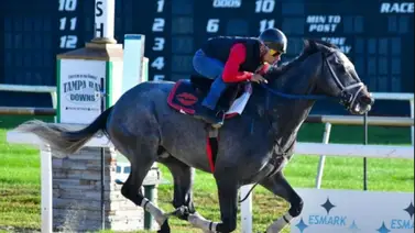 Sonny León se erige como el más destacado del miércoles en Tampa Bay Downs Sonny León se erige como el más destacado del miércoles en Tampa Bay Downs