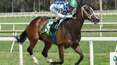 Mystic Lake busca la victoria en el FHBPA Fillies and Mare Sprint Stakes de $100,000 Mystic Lake busca la victoria en el FHBPA Fillies and Mare Sprint Stakes de $100,000
