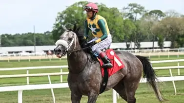 Edgard Zayas regresa sobre Maykomotion para el Sophomore Sprint Stakes de $100,000 en Gulfstream Park Edgard Zayas regresa sobre Maykomotion para el Sophomore Sprint Stakes de $100,000 en Gulfstream Park