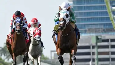 Sin dar ventajas: venezolanos buscan el one-two en el FHBPA Turf de 100 mil dólares este sábado en Palm Meet Sin dar ventajas: venezolanos buscan el one-two en el FHBPA Turf de 100 mil dólares este sábado en Palm Meet