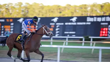 Kentucky Derby: Renegade prepara su viaje luego de su briseo esta mañana en Florida Kentucky Derby: Renegade prepara su viaje luego de su briseo esta mañana en Florida