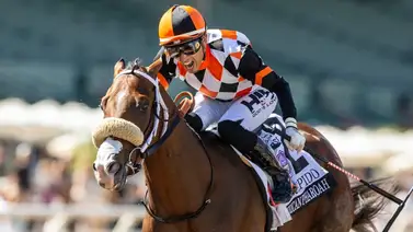 Kentucky Derby: Stark Contrast no va para las rosas. Entra Intrepido Kentucky Derby: Stark Contrast no va para las rosas. Entra Intrepido