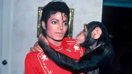 Así vive hoy Bubbles, el famoso chimpancé que recorrió el mundo con Michael Jackson