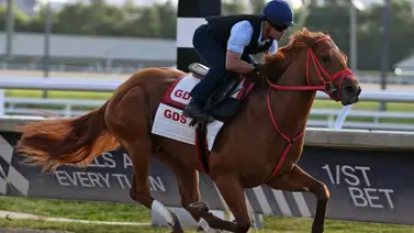 Kentucky Derby: Mira los primeros galopes de The Puma en Churchill Downs con este jinete venezolano Kentucky Derby: Mira los primeros galopes de The Puma en Churchill Downs con este jinete venezolano