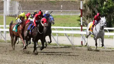 La Rinconada: Favoritos de la cátedra para el 5y6 Nacional de la reunión N°17 La Rinconada: Favoritos de la cátedra para el 5y6 Nacional de la reunión N°17