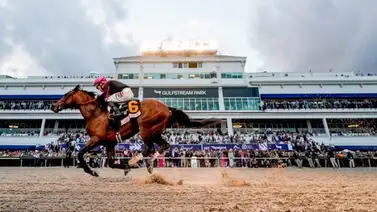 Pronósticos Gulfstream Park: picks gratis y el dato clave para el viernes 24 de abril Pronósticos Gulfstream Park: picks gratis y el dato clave para el viernes 24 de abril