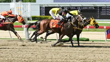 Benito Salas y My Robbing Mate: El binomio que busca dar la sorpresa en el 5y6 en La Rinconada Benito Salas y My Robbing Mate: El binomio que busca dar la sorpresa en el 5y6 en La Rinconada