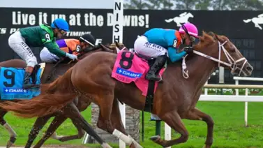 Kentucky Derby: Empresario multimillonario adquiere intereses sobre el ejemplar The Puma Kentucky Derby: Empresario multimillonario adquiere intereses sobre el ejemplar The Puma