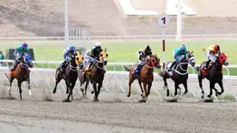  La Rinconada: Favoritos de la cátedra para el 5y6 Nacional de la reunión N°18