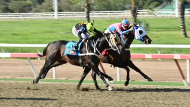 Todo lo que debes saber sobre El Pequeño José este domingo en La Rinconada Todo lo que debes saber sobre El Pequeño José este domingo en La Rinconada