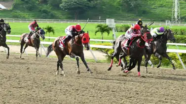 La lupa de Meridiano Web: El video revela un fuerte contendor para este sábado en Coche La lupa de Meridiano Web: El video revela un fuerte contendor para este sábado en Coche