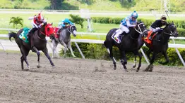 Presta atención: Conoce al preparador que buscará su primera foto del año en el 5y6 de La Rinconada