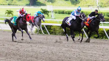 Presta atención: Conoce al preparador que buscará su primera foto del año en el 5y6 de La Rinconada Presta atención: Conoce al preparador que buscará su primera foto del año en el 5y6 de La Rinconada