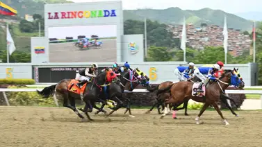 ¡No lo peles! Uno de los mejores ajustes del miércoles es un batacazo para este domingo en La Rinconada ¡No lo peles! Uno de los mejores ajustes del miércoles es un batacazo para este domingo en La Rinconada