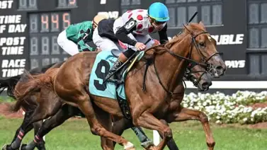 El Derby Winner venezolano luce imbatible en el FHBPA Fillies and Mares Turf de $100,000 El Derby Winner venezolano luce imbatible en el FHBPA Fillies and Mares Turf de $100,000