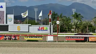 La Rinconada: Estos son los retirados de la reunión N°17 del 25-04-2026 La Rinconada: Estos son los retirados de la reunión N°17 del 25-04-2026