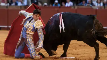 Torero peruano Andrés Roca Rey sufre grave cornada en Sevilla Torero peruano Andrés Roca Rey sufre grave cornada en Sevilla