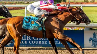 Kentucky Derby: Emerging Market realizó su trabajo final para el Derby de las Rosas Kentucky Derby: Emerging Market realizó su trabajo final para el Derby de las Rosas