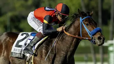 Kentucky Derby: So Happy con Mike Smith a bordo lució impecable en su trabajo final Kentucky Derby: So Happy con Mike Smith a bordo lució impecable en su trabajo final