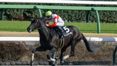 Kentucky Derby: Llega el nipón que faltaba "Danon Bourbon" que defiende su invicto en la carrera de las Rosas Kentucky Derby: Llega el nipón que faltaba "Danon Bourbon" que defiende su invicto en la carrera de las Rosas