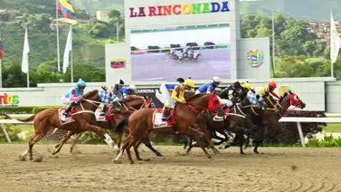 Observa esto: Entérate del ejemplar que marcó el mejor ajuste y no lo puedes dejar fuera de tus marcas para la R18 Observa esto: Entérate del ejemplar que marcó el mejor ajuste y no lo puedes dejar fuera de tus marcas para la R18