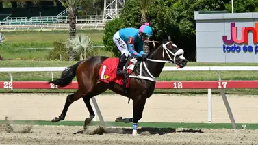 Te aseguro que si ves el ajuste de Princesa Fina no tendrá duda para jugarla en la selectiva de la R18 Te aseguro que si ves el ajuste de Princesa Fina no tendrá duda para jugarla en la selectiva de la R18