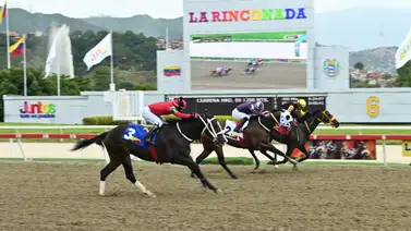 La Rinconada: Datos de Última Hora para el 25-04-2026 La Rinconada: Datos de Última Hora para el 25-04-2026