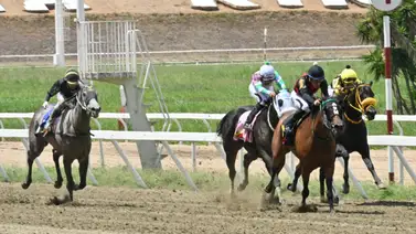 No olvides este ajuste: El cambio de monta que transformará a una sorpresa de Gaceta Hípica en la clave para el 5y6 de la R18 No olvides este ajuste: El cambio de monta que transformará a una sorpresa de Gaceta Hípica en la clave para el 5y6 de la R18