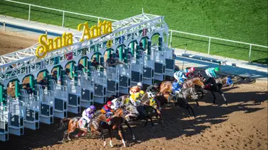 Santa Anita Park anuncia nuevo protocolo para las carreras en césped desde la ladera Santa Anita Park anuncia nuevo protocolo para las carreras en césped desde la ladera