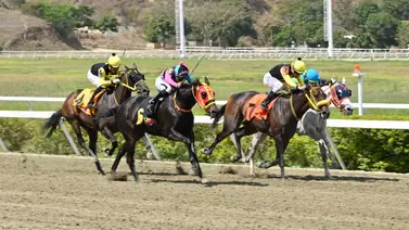 Este es el cuadro sugerido (baratico) del 5y6 del sábado en La Rinconada Este es el cuadro sugerido (baratico) del 5y6 del sábado en La Rinconada