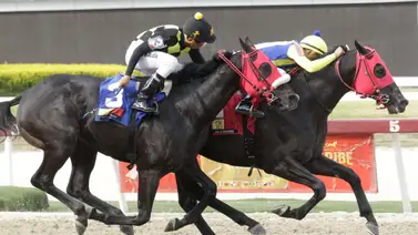 Mira el cuadro sugerido (baratico) para el 5y6 de este domingo en La Rinconada Mira el cuadro sugerido (baratico) para el 5y6 de este domingo en La Rinconada