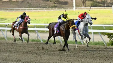 Los números no mienten: Estos son los ejemplares con los mejores "Ratings" para sellar un cuadro ganador del 5y6 de la R18 Los números no mienten: Estos son los ejemplares con los mejores "Ratings" para sellar un cuadro ganador del 5y6 de la R18