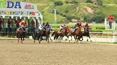 Este es el cuadro sugerido del 5y6 del domingo en La Rinconada Este es el cuadro sugerido del 5y6 del domingo en La Rinconada