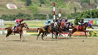 Más allá del duelo: El "batacazo" que amenaza a las importadas Chiquinquireña y Cheeca Blue en La Rinconada Más allá del duelo: El "batacazo" que amenaza a las importadas Chiquinquireña y Cheeca Blue en La Rinconada