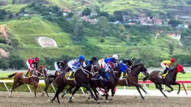 Datos para apostar en las carreras de la Rinconada este fin de semana Datos para apostar en las carreras de la Rinconada este fin de semana