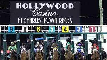 ¡Sangre venezolana en el exterior! Hijo de destacada yegua criolla impone su clase en Estados Unidos ¡Sangre venezolana en el exterior! Hijo de destacada yegua criolla impone su clase en Estados Unidos