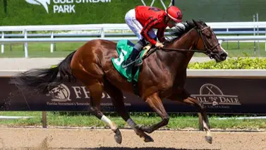 Cátedra de conducción: Atleta Meridiano 2025 conquista el FHBPA Fillies and Mares Turf de $100.000 Cátedra de conducción: Atleta Meridiano 2025 conquista el FHBPA Fillies and Mares Turf de $100.000